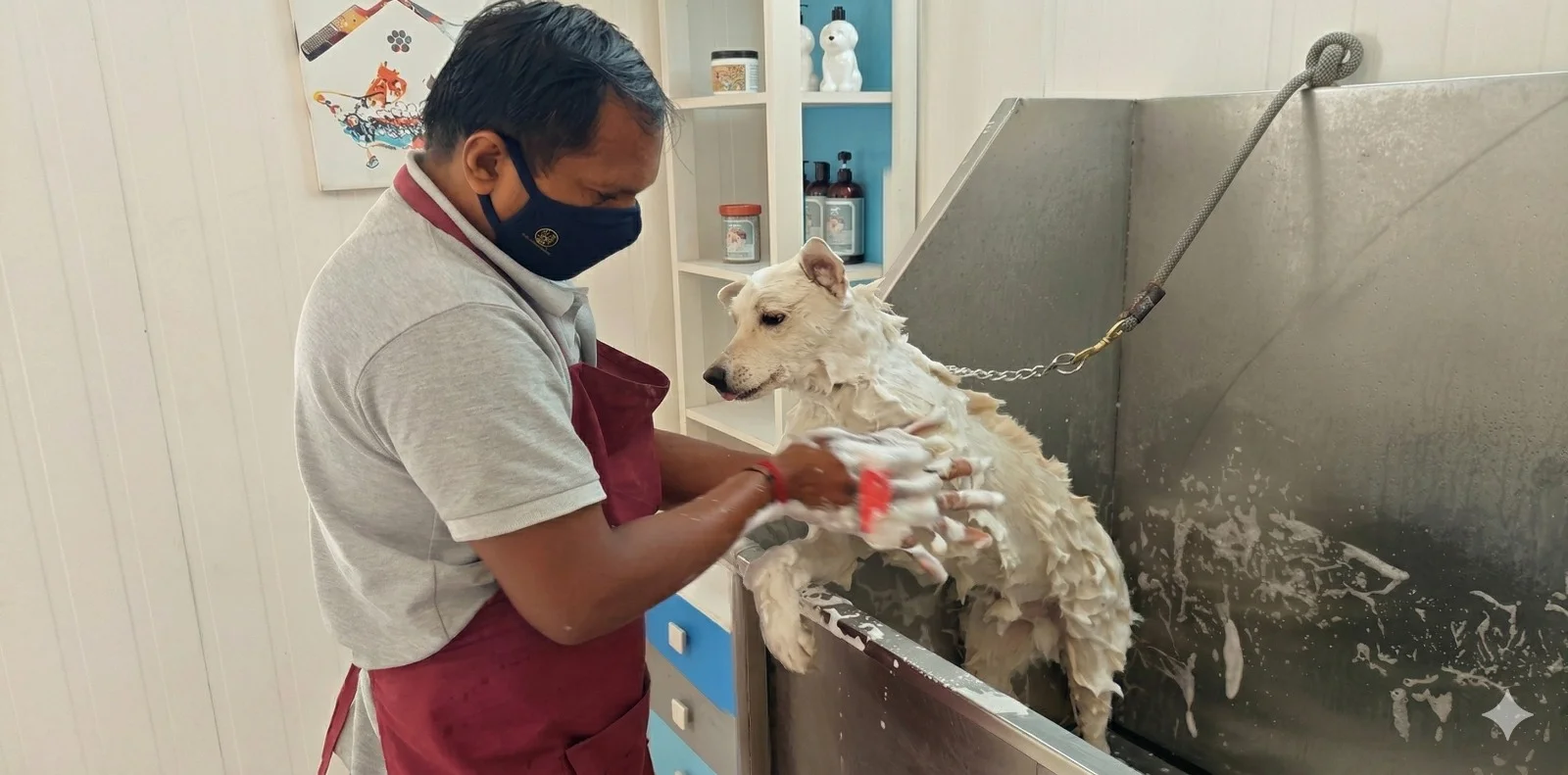 Heal Your Paws Pet Care